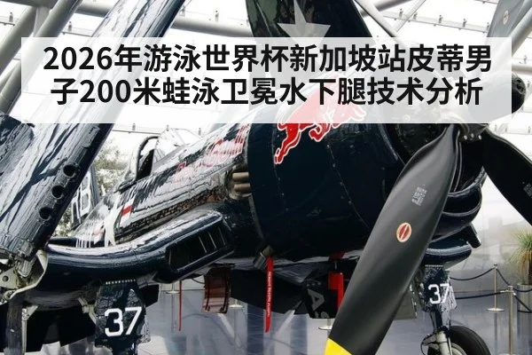 2026年游泳世界杯新加坡站皮蒂男子200米蛙泳卫冕水下腿技术分析