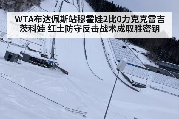 WTA布达佩斯站穆霍娃2比0力克克雷吉茨科娃 红土防守反击战术成取胜密钥