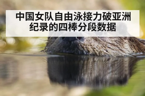 中国女队自由泳接力破亚洲纪录的四棒分段数据
