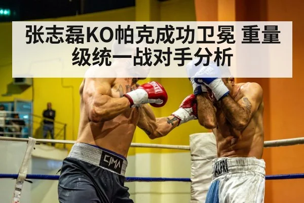 heavyweight boxing