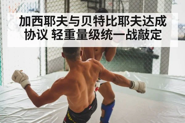 加西耶夫与贝特比耶夫达成协议 轻重量级统一战敲定